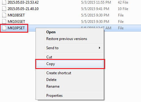 Windows Copy file button