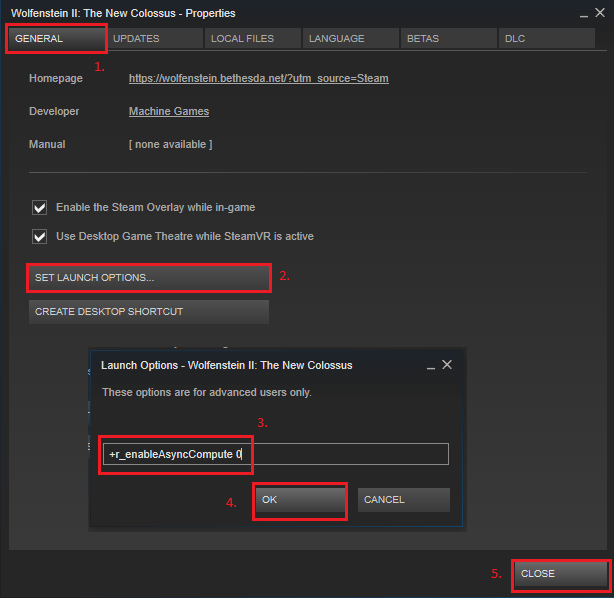 Steam Wolfenstein 2 General tab and launch options